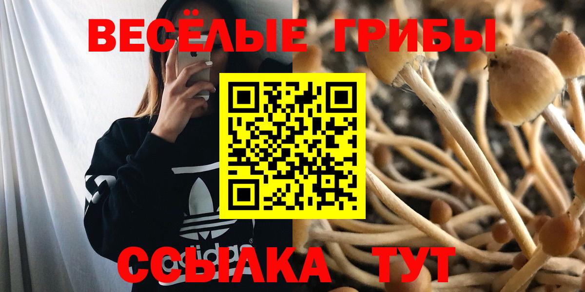 Псилоцибиновые грибы Psilocybine cubensis  Галлюциногенные грибы мицелий  Ногинск  Вход с VPN 